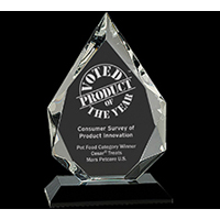 Custom/Personalized Corporate Awards